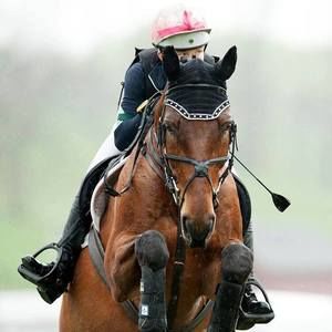 Meet your Posher, Teagan